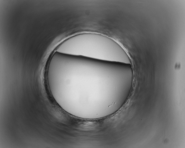 X0000103160151200808221200