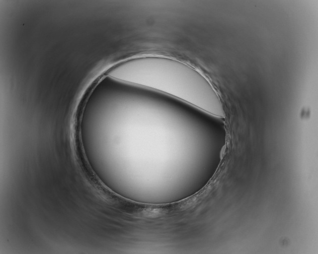 X0000103160152200808221200