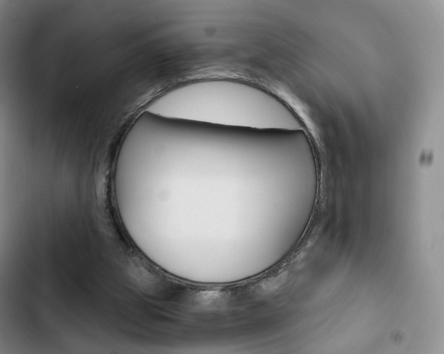 X0000103160153200808221200