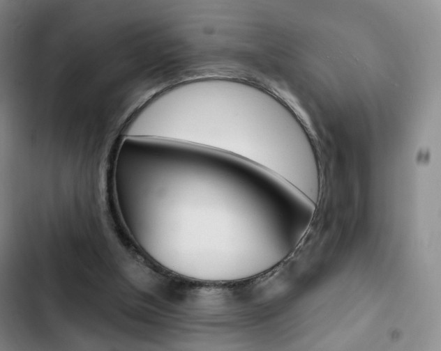 X0000103160154200808221200