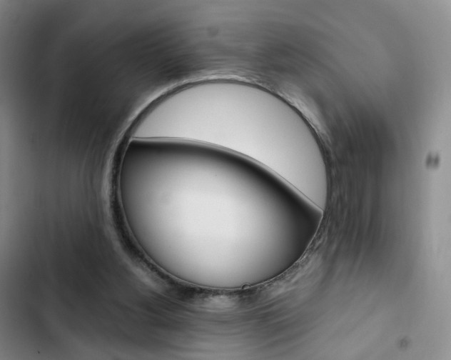 X0000103160156200808221200