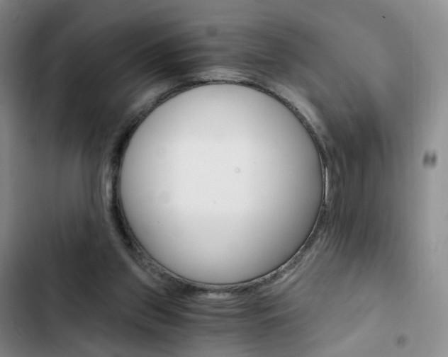 X0000103160157200808221200