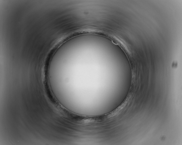 X0000103160158200808221200