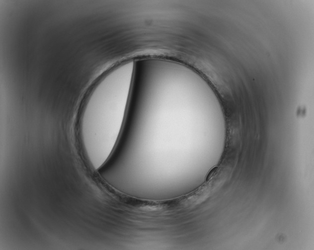 X0000103160160200808221200