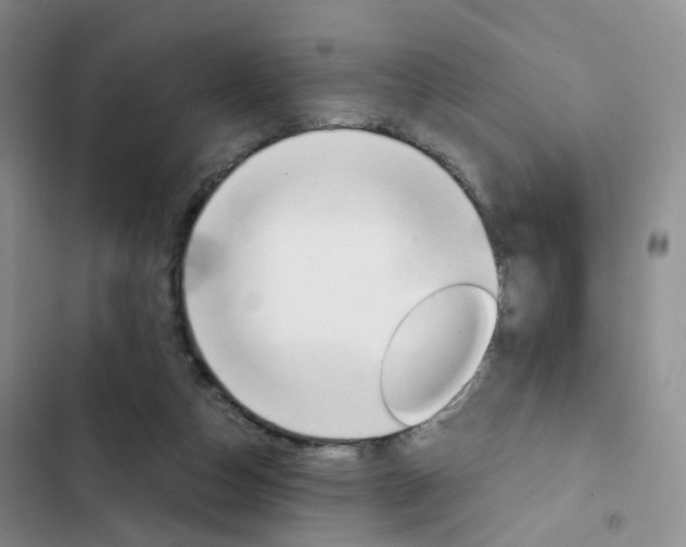 X0000103160162200808221200