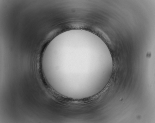 X0000103160163200808221200