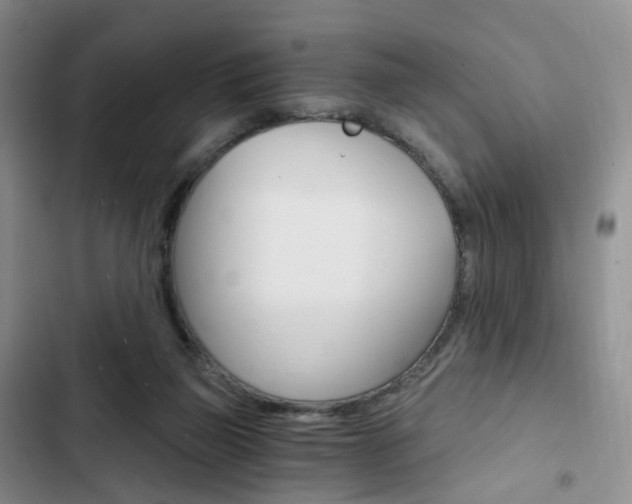 X0000103160165200808221200