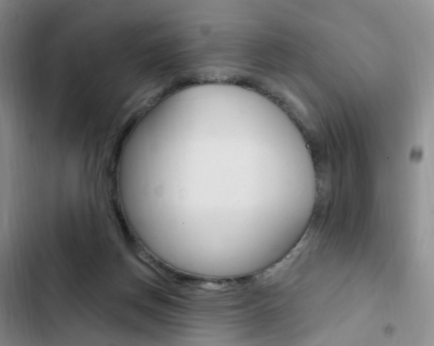 X0000103160166200808221200
