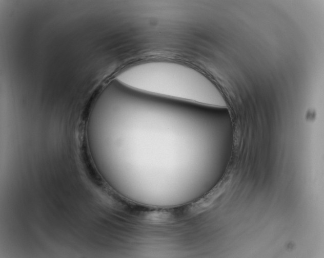 X0000103160168200808221200