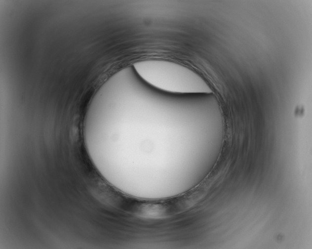 X0000103160169200808221200