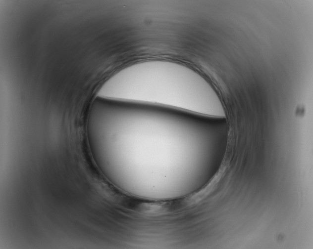 X0000103160170200808221201