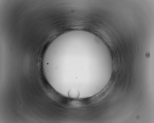 X0000103160171200808221201