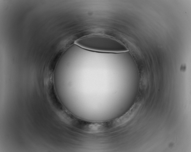 X0000103160172200808221201