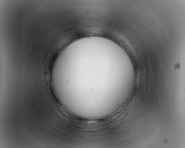 X0000103160173200808221201