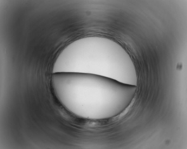 X0000103160174200808221201