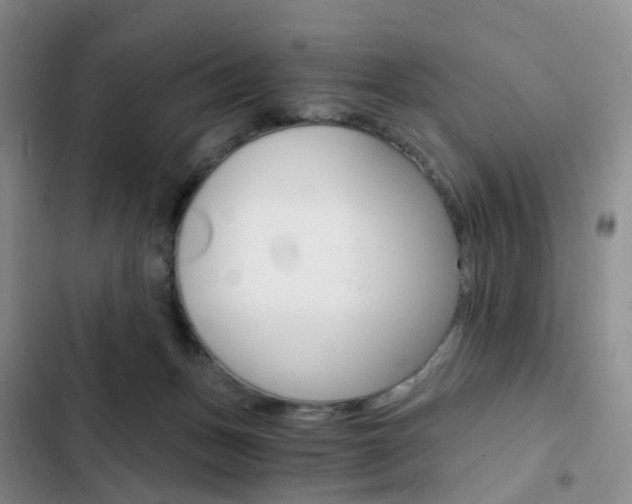 X0000103160175200808221201