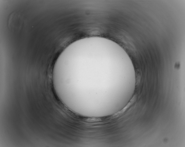 X0000103160179200808221201