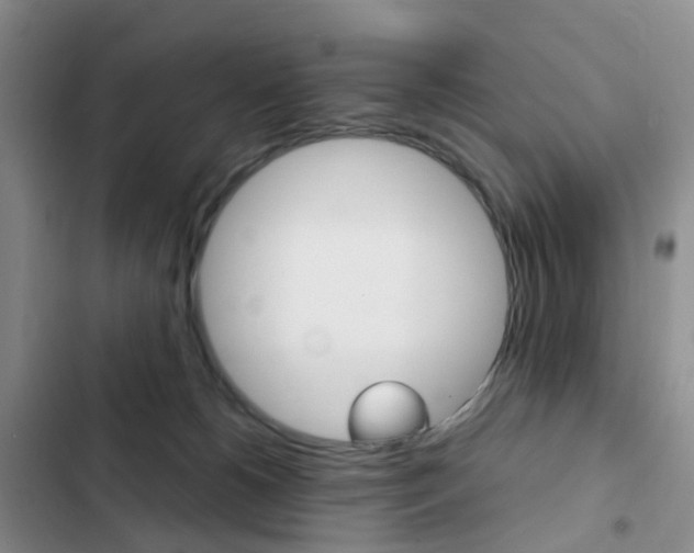X0000103160180200808221201