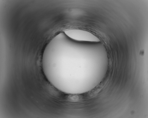 X0000103160181200808221201