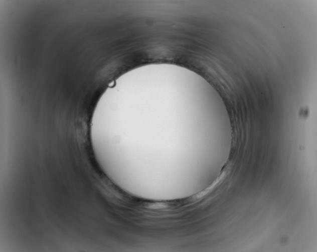 X0000103160183200808221201