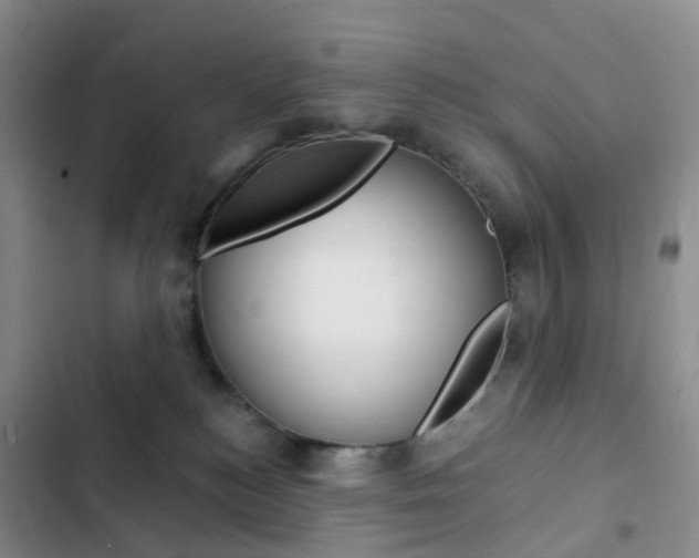 X0000103160184200808221201