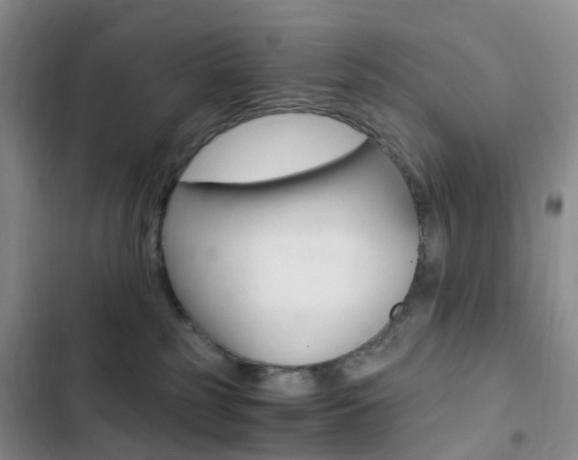 X0000103160185200808221201