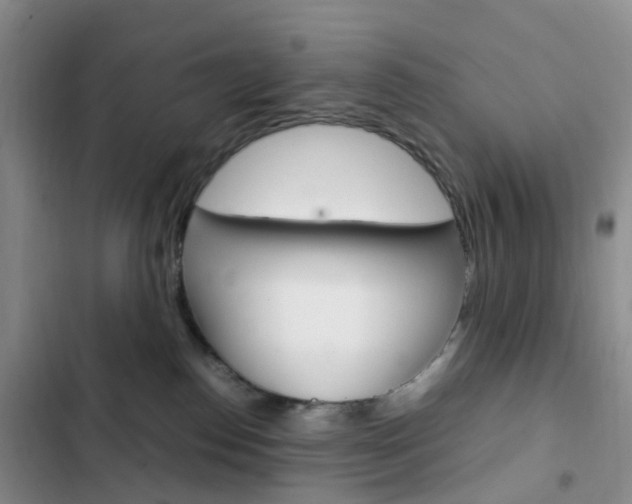 X0000103160186200808221201