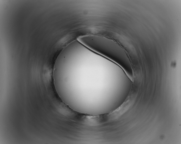 X0000103160188200808221201