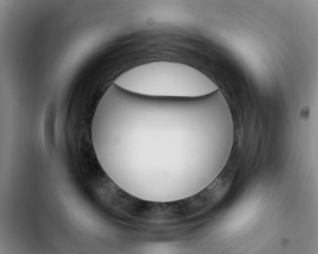 X0000103160189200808221201