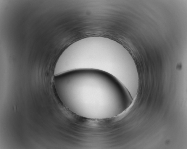 X0000103160190200808221201