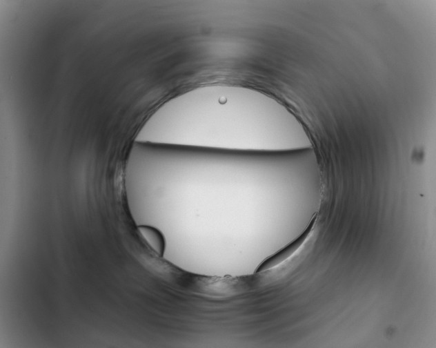 X0000103160191200808221201