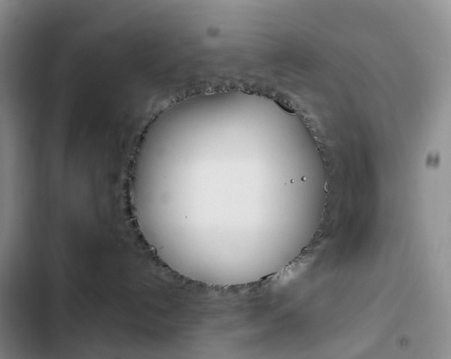 X0000103160192200808221201