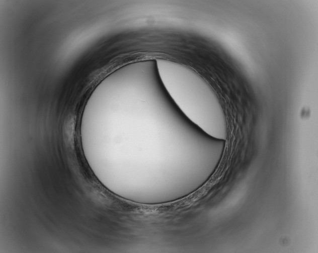 X0000103160194200808221200