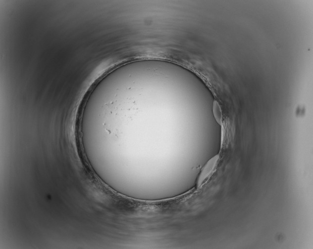 X0000103160195200808221200