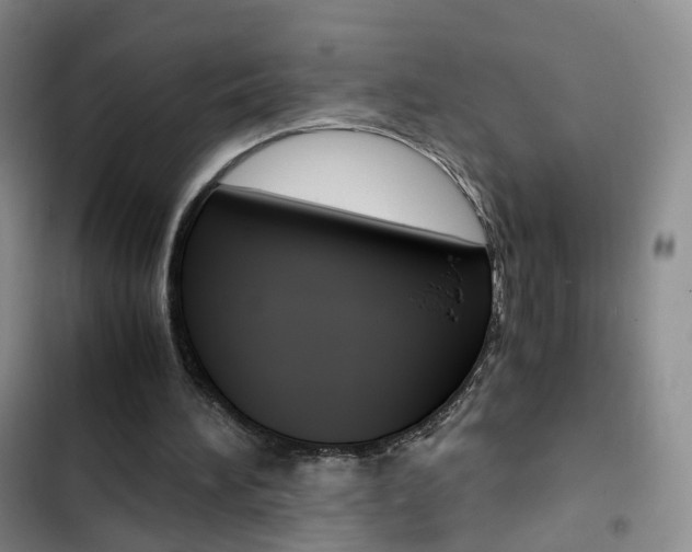X0000103160196200808221200