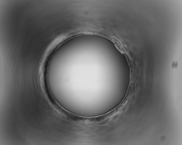 X0000103160197200808221200