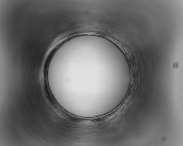 X0000103160198200808221200