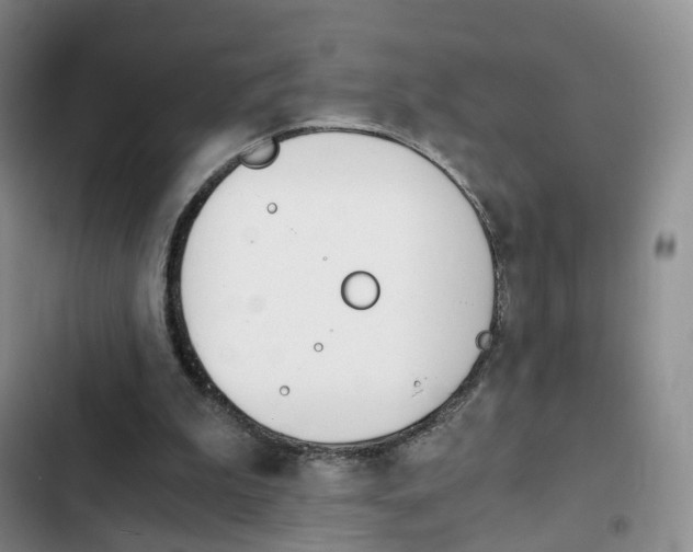 X0000103160199200808221200