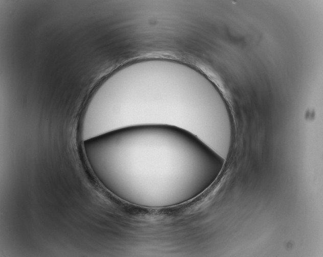 X0000103160201200808221200