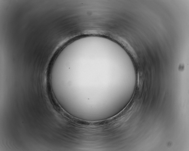 X0000103160204200808221200
