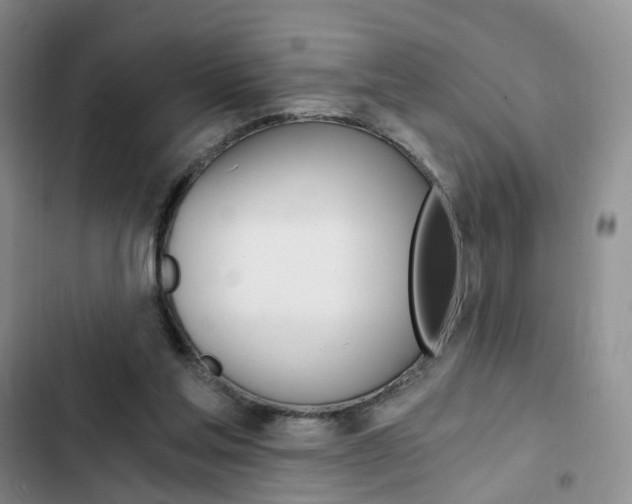 X0000103160205200808221200