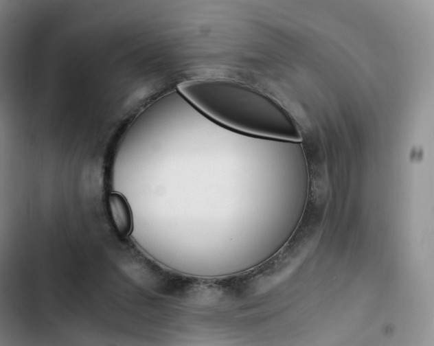 X0000103160207200808221200