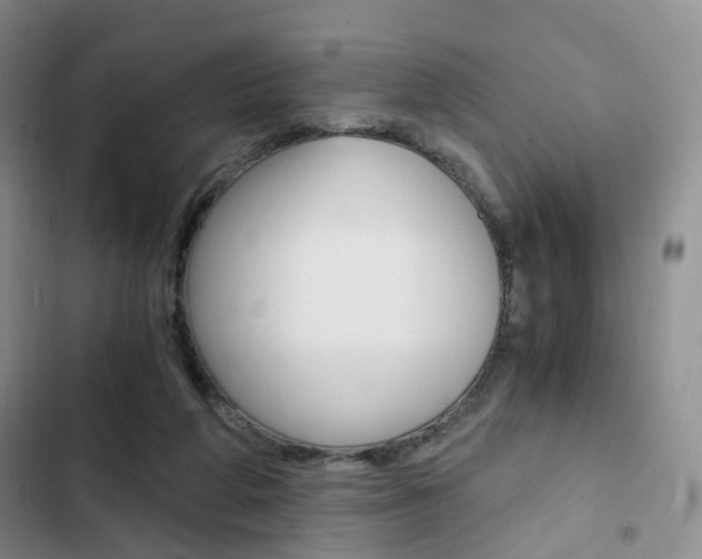 X0000103160210200808221200