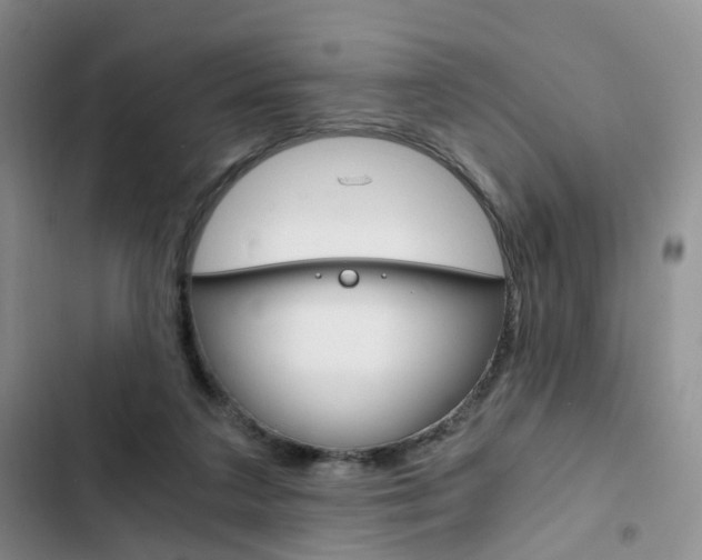 X0000103160211200808221200