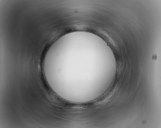 X0000103160213200808221200