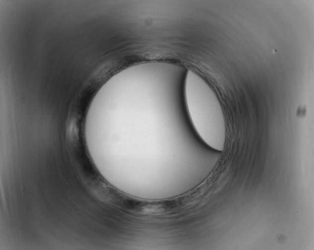 X0000103160214200808221200