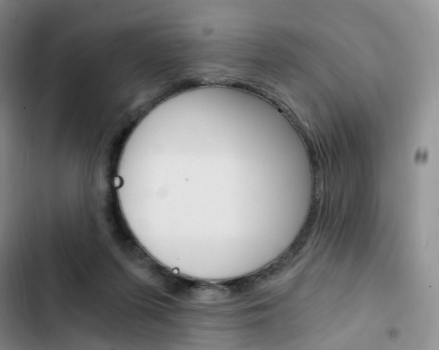 X0000103160215200808221200