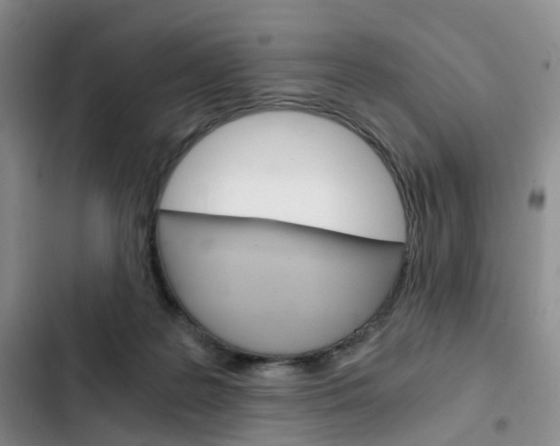X0000103160219200808221200
