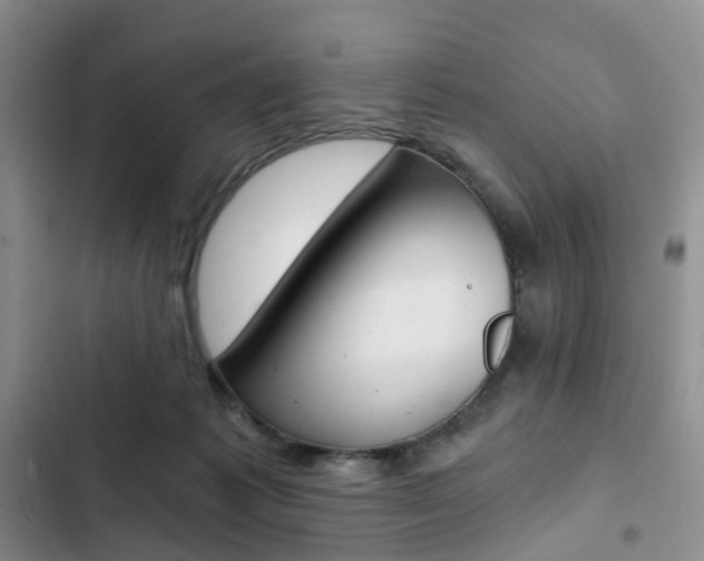 X0000103160221200808221200