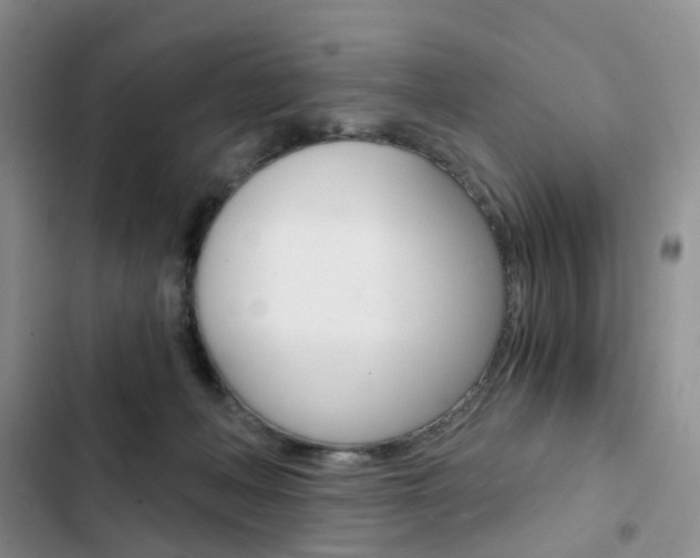 X0000103160222200808221200